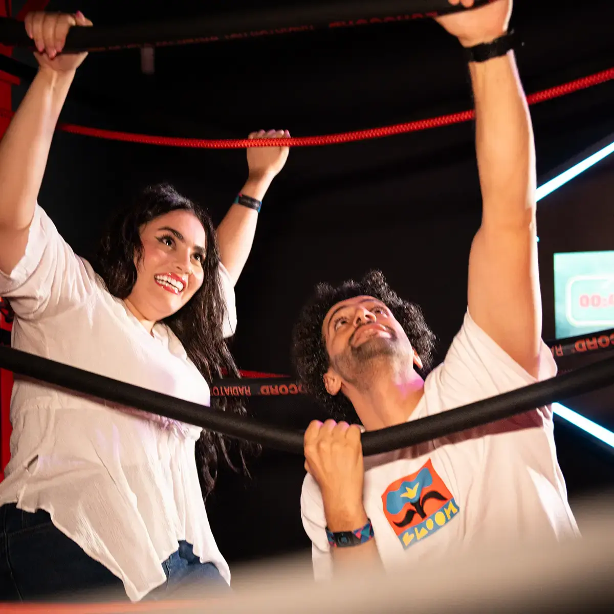 Red Ropes Area - image 2